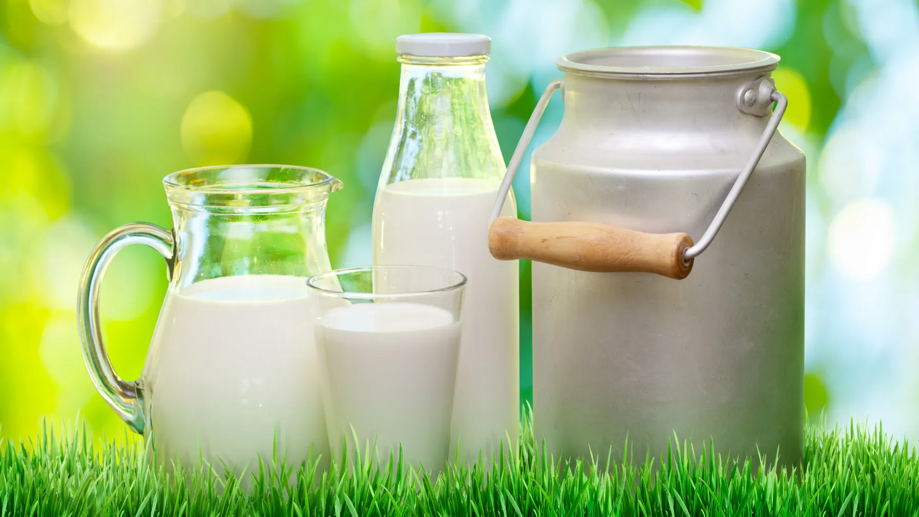 Fresh Milk (Pasteurized)